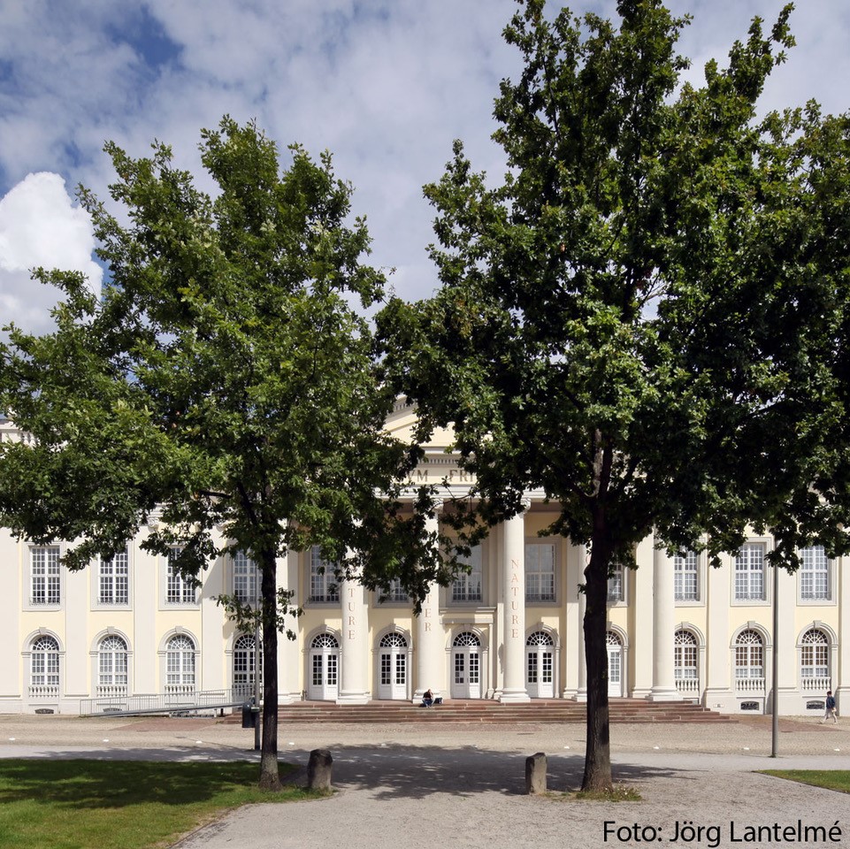 Fridericianum Kassel mit Beuys-Bäumen. Foto Jörg Lantelme