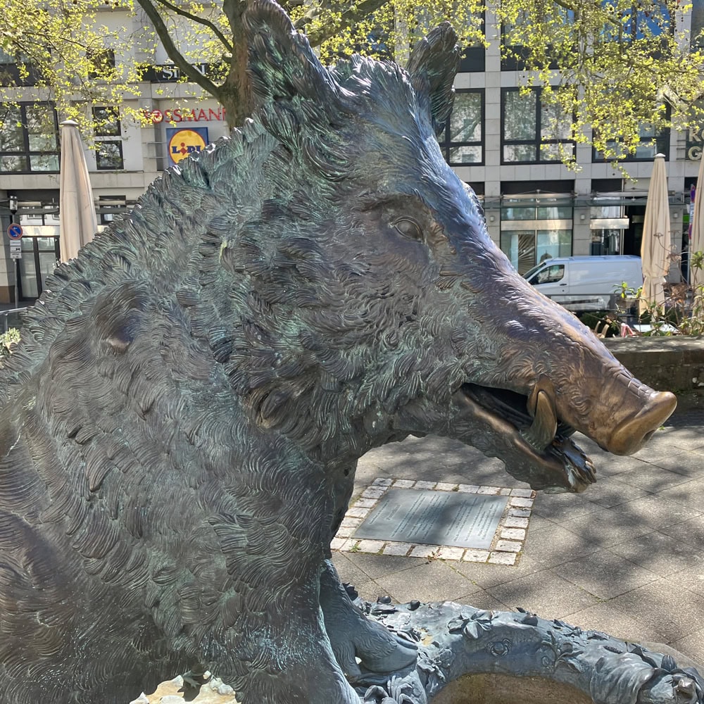 Porcellino